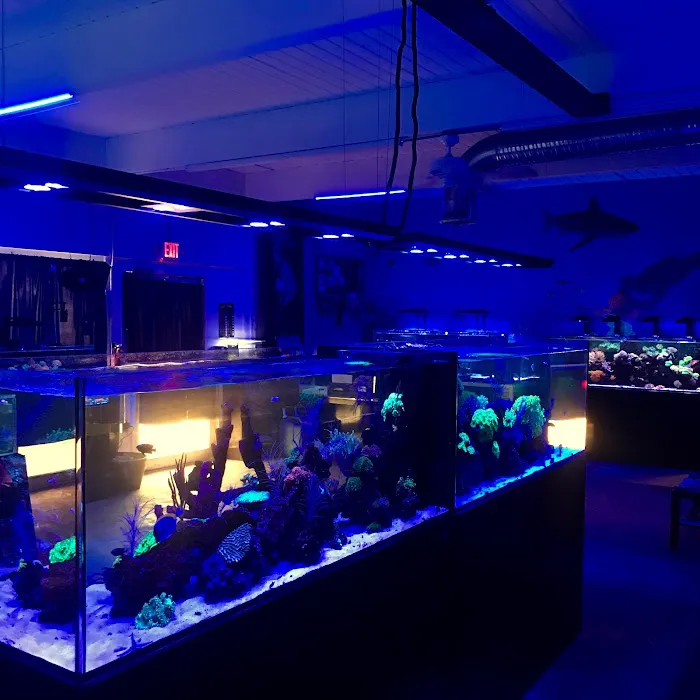 Palmetto Reef 12
