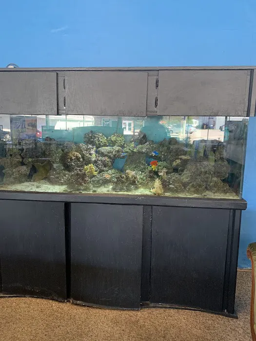 Palmetto Reef 12