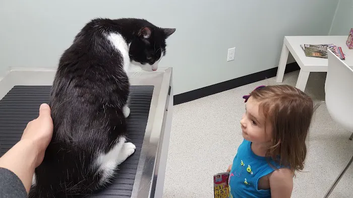 Mt. Scott Animal Clinic 7
