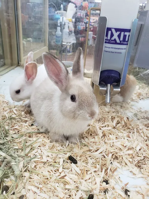 Pet Supermarket 12