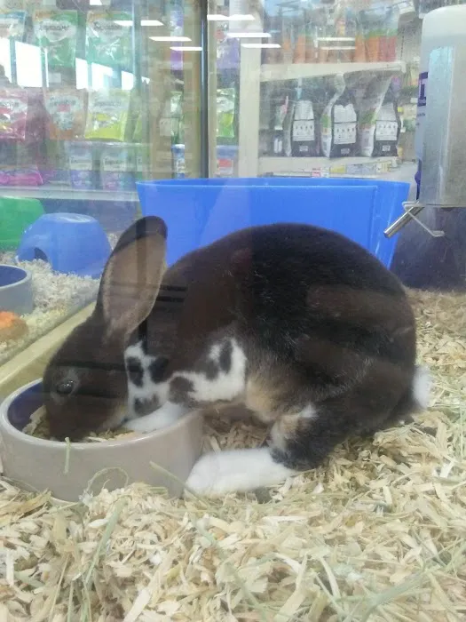 Pet Supermarket 12