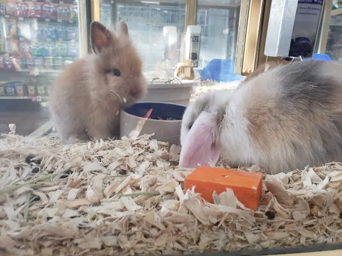 Pet Supermarket 12