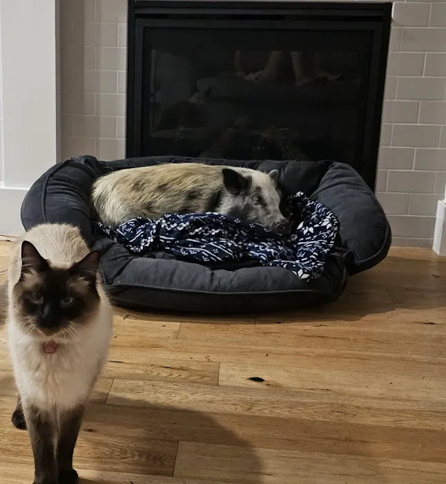 Linwood Animal Clinic 5