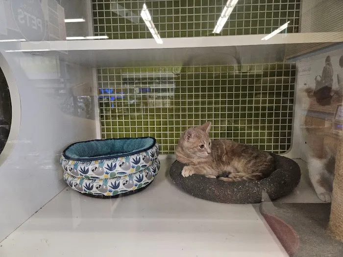 Petco 12