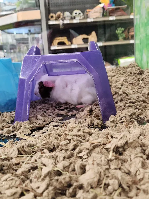 Petco 12