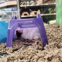 Petco ico