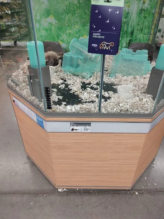 Petco 12