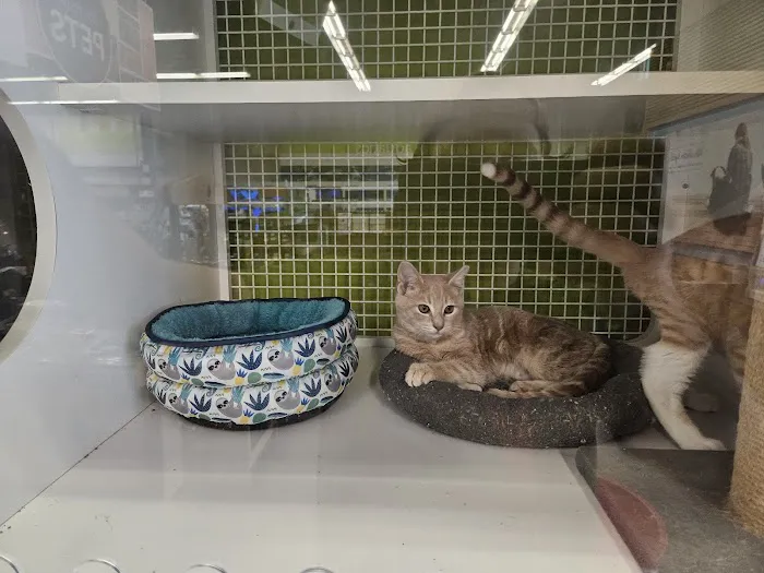 Petco 12