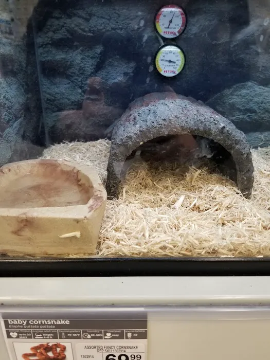 Petco 12
