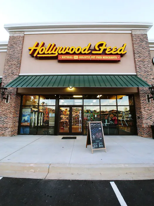 Hollywood Feed 12