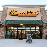 Hollywood Feed ico