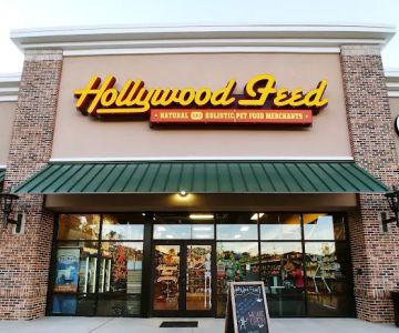 Hollywood Feed