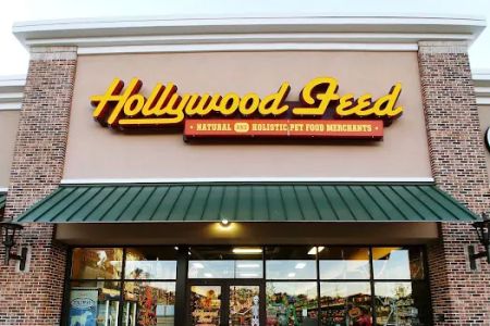 Hollywood Feed