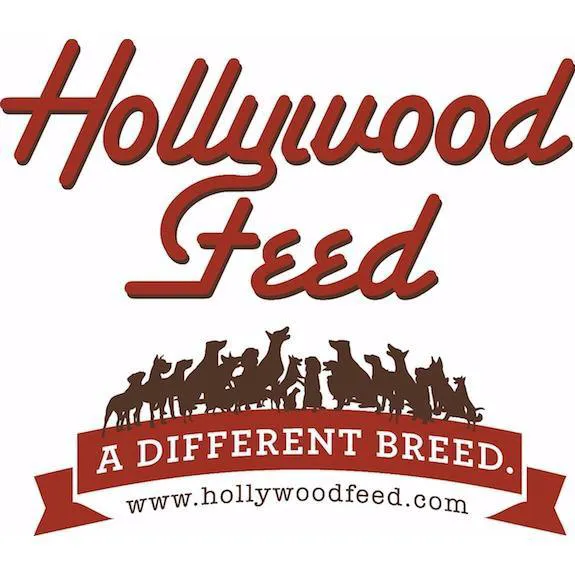 Hollywood Feed 12