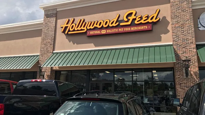 Hollywood Feed 12