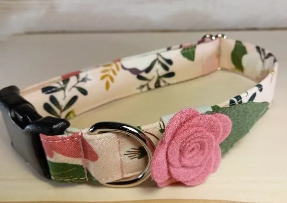 Wag More Dog Collars 6