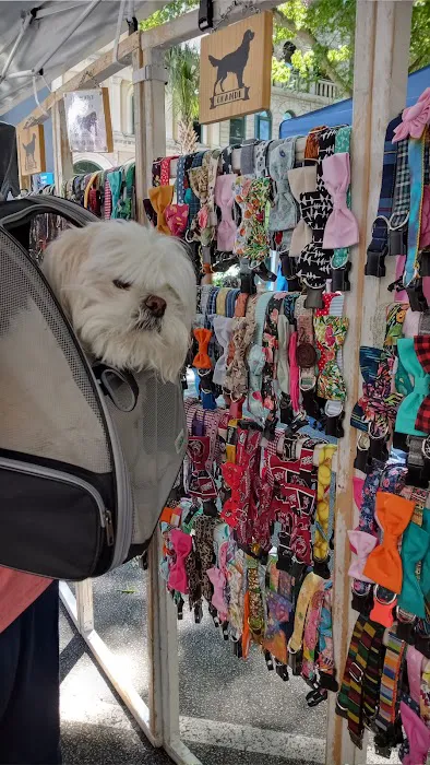 Wag More Dog Collars 2