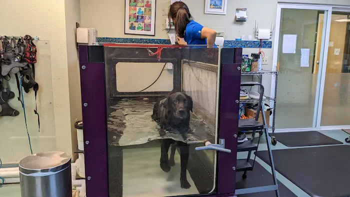 Back on Track Veterinary Rehabilitation Center, LLC 7