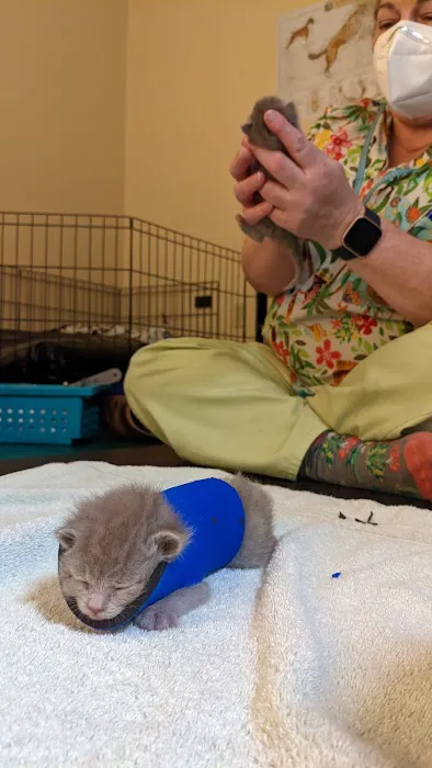 Back on Track Veterinary Rehabilitation Center, LLC 5