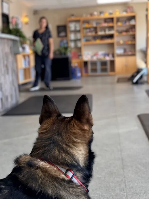 Back on Track Veterinary Rehabilitation Center, LLC 2