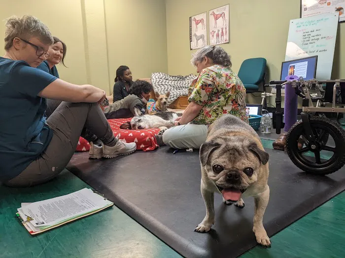 Back on Track Veterinary Rehabilitation Center, LLC 10