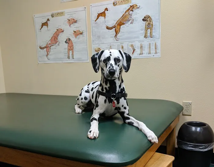 Back on Track Veterinary Rehabilitation Center, LLC 6