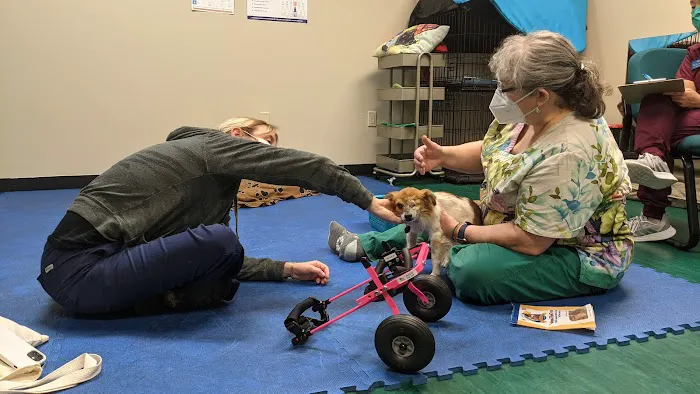 Back on Track Veterinary Rehabilitation Center, LLC 1