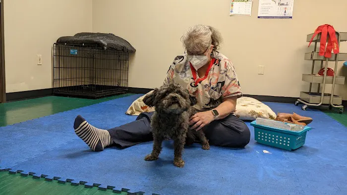 Back on Track Veterinary Rehabilitation Center, LLC 4