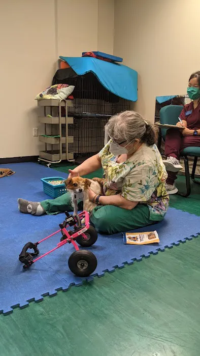 Back on Track Veterinary Rehabilitation Center, LLC 8