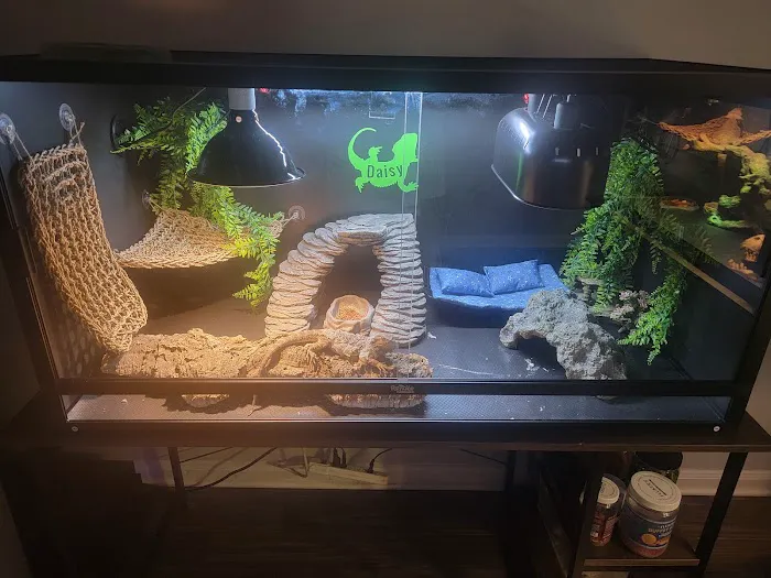The Creature Room 12
