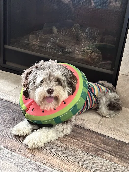 Pacific Veterinary Hospital 10