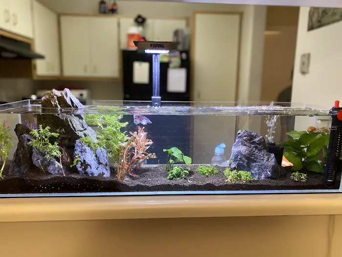 Fishy Business 12