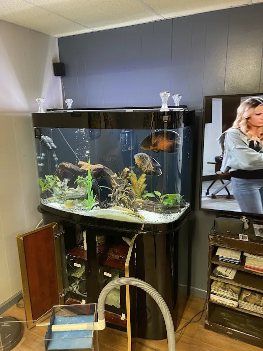 Fishy Business 12