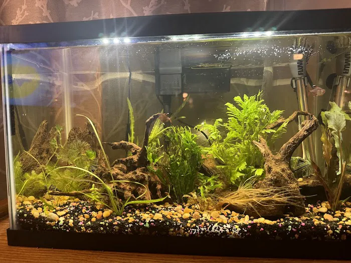 Fishy Business 12