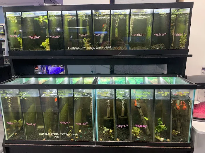 Fishy Business 12