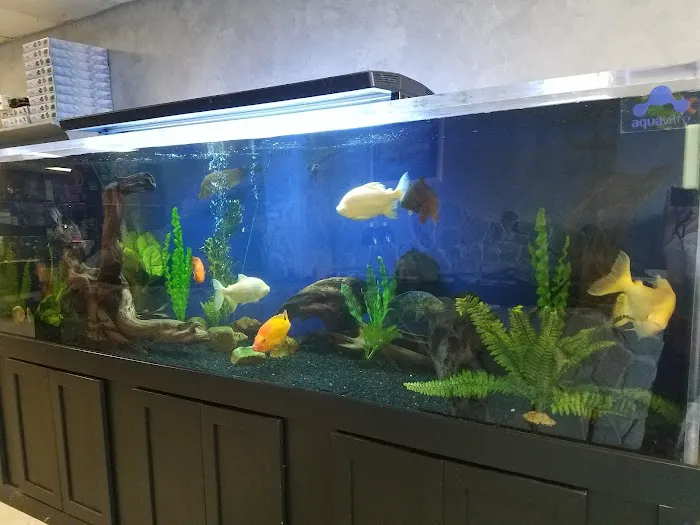 Fishy Business 12