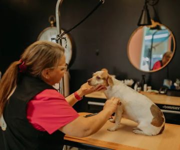 Little Barks Boutique