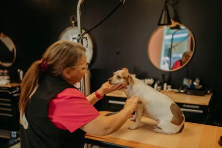 Little Barks Boutique