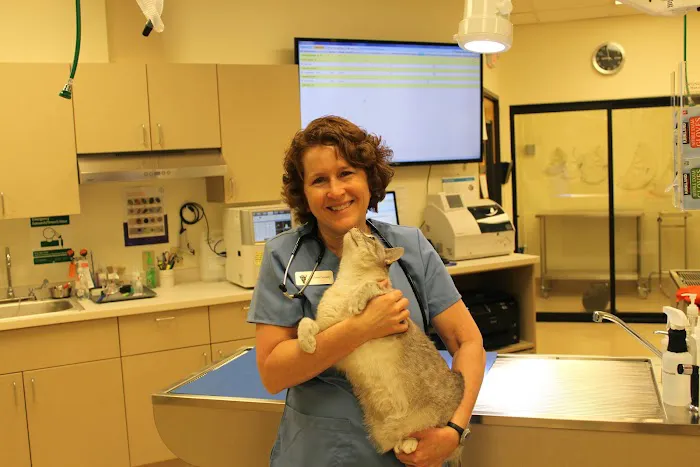 Compass Veterinary Clinic 6