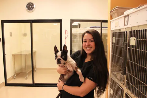 Compass Veterinary Clinic 5