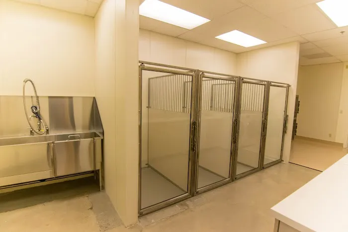 Compass Veterinary Clinic 4