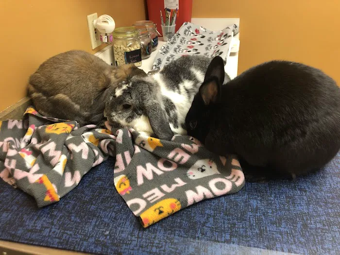 Compass Veterinary Clinic 3