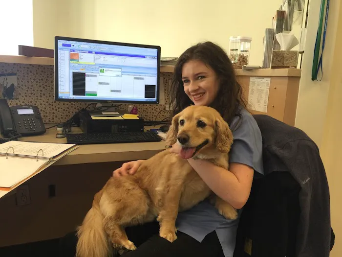 Compass Veterinary Clinic 7