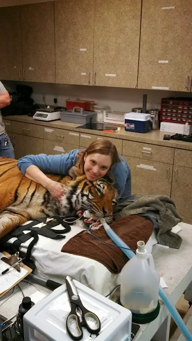 Compass Veterinary Clinic 10