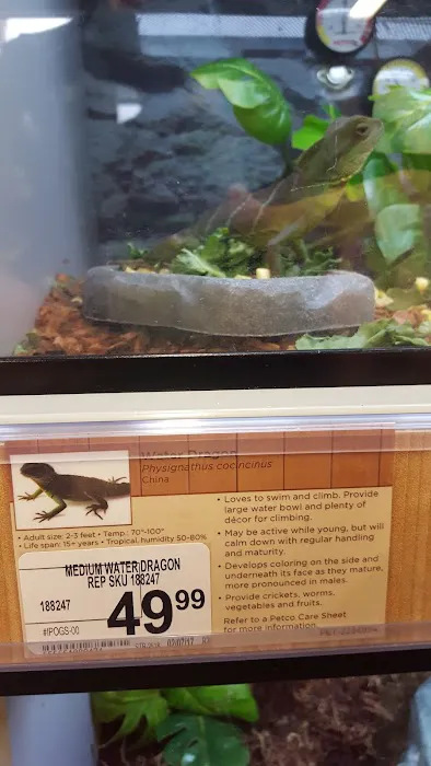 Petco 12