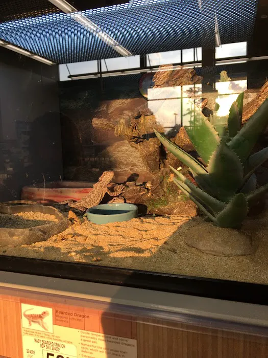 Petco 12