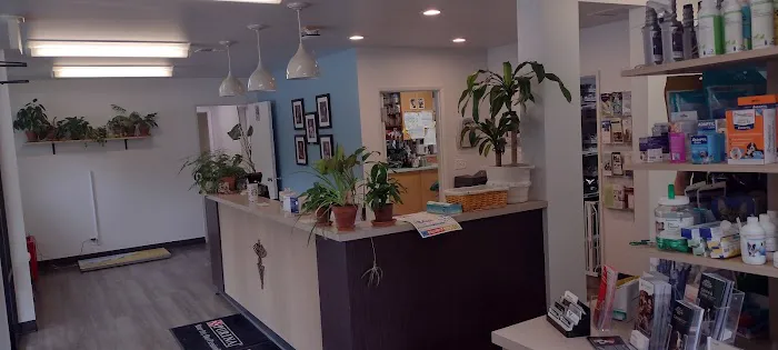 BarburVet 4