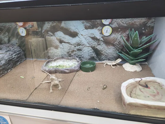 Petco 12