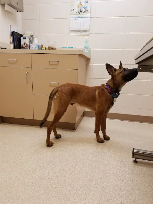 Aloha Dog & Cat Hospital 5
