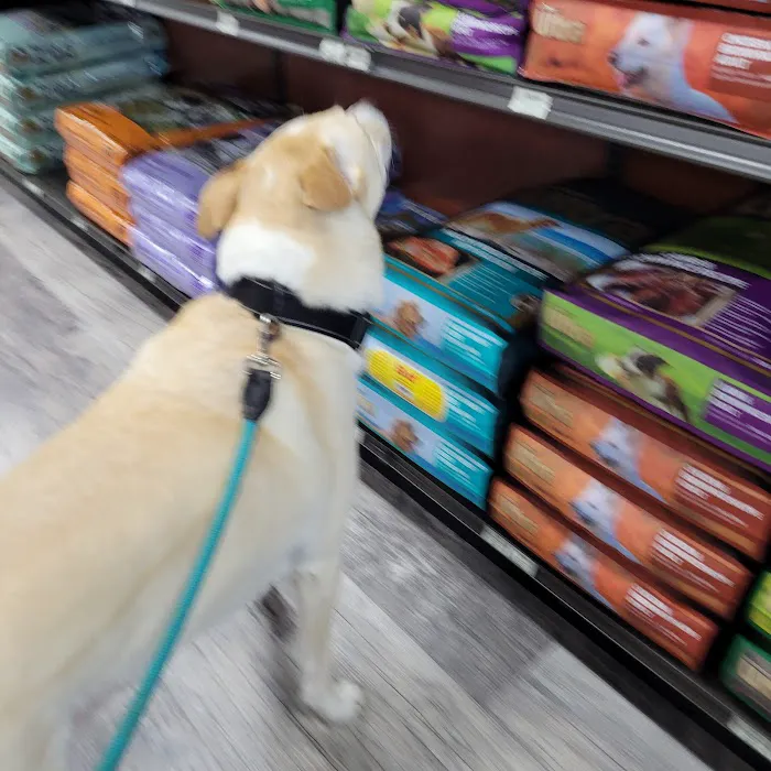 Pet Supermarket 12